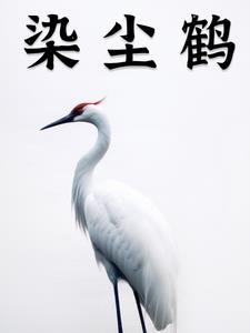 染尘的拼音