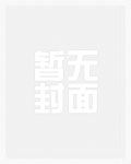 绯闻新妻小说